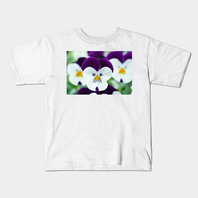 Viola  Rocky White with Purple Wings  Rocky series Kids T-Shirt by chrisburrows